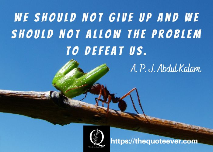 APJ-ABDUL-KALAM-QUOTE-7